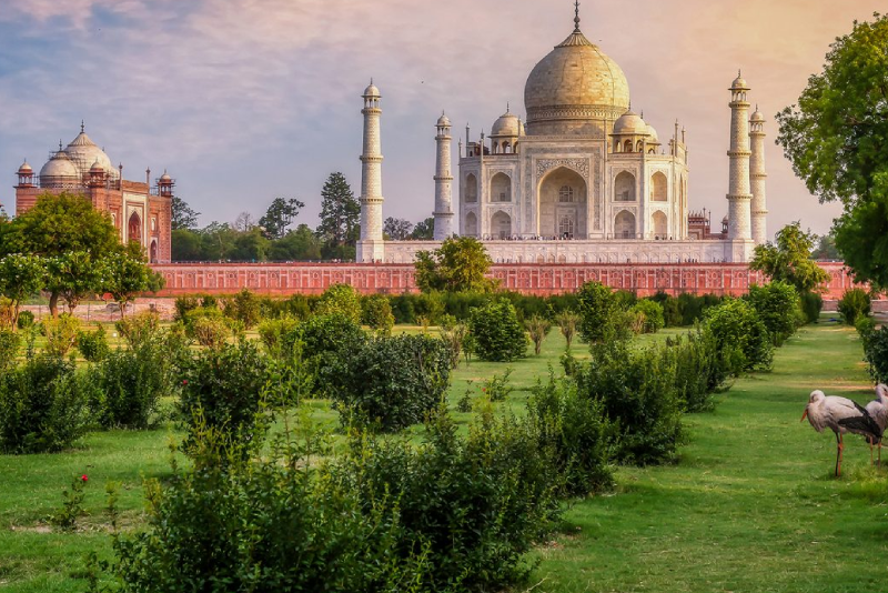 Alquiler de Coche Privado en Agra con Conductor